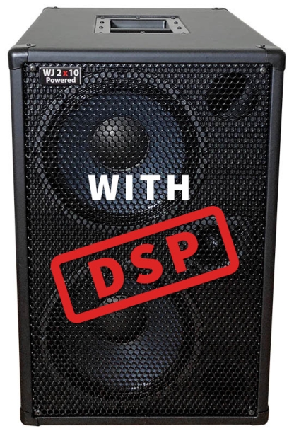 WJ 2×10 1000 watt Powered Bass Guitar Cabinet with DSP input and crossover.