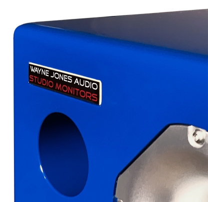 10″ 2-Way Powered Studio Monitor (pair) 650 Watt each - Image 12