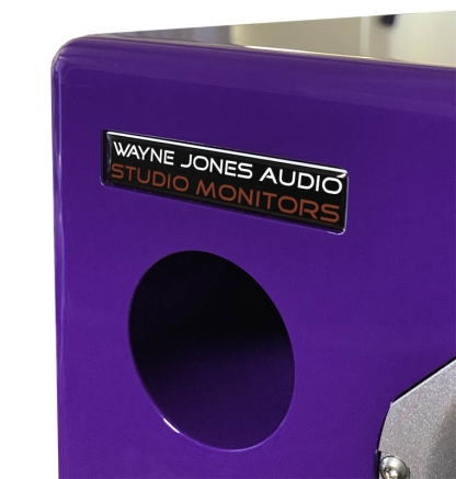 10″ 2-Way Powered Studio Monitor (pair) 650 Watt each - Image 11